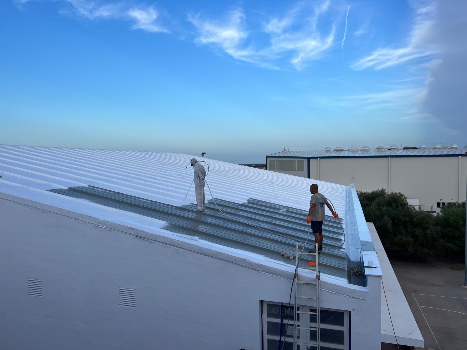 WhatsApp Image 2026-03-20 at 11.26.54