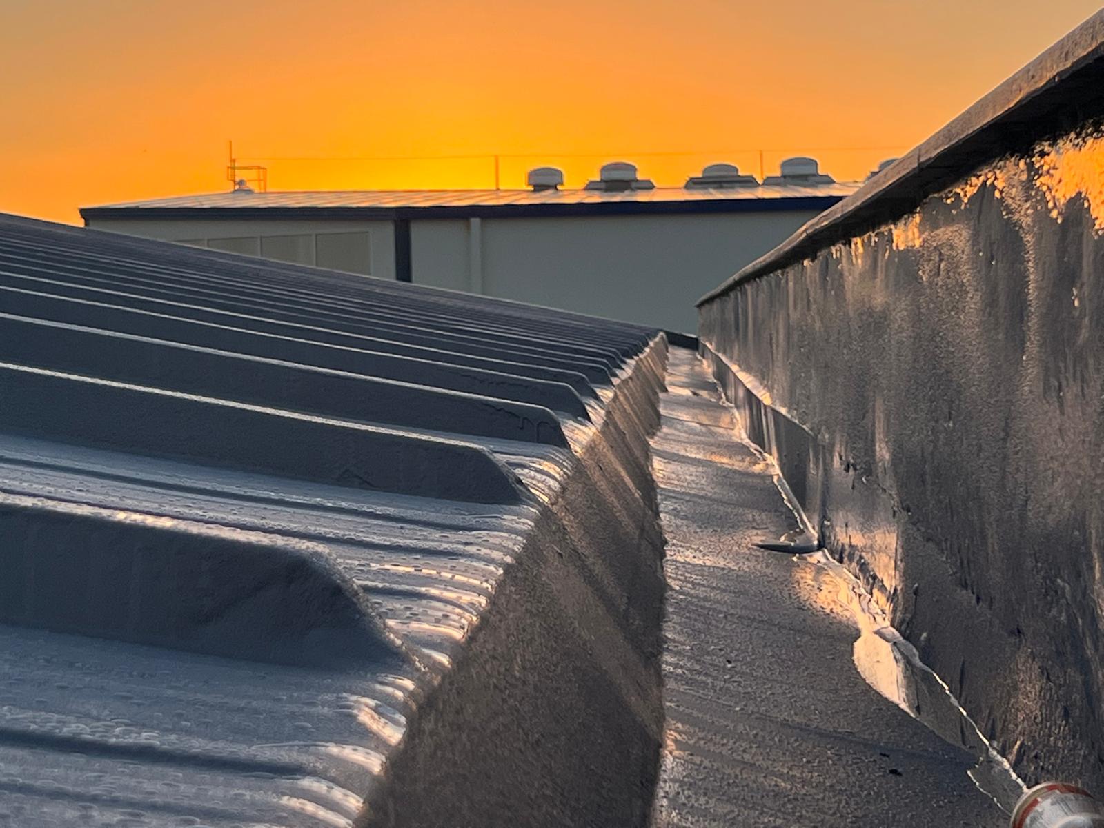 WhatsApp Image 2026-03-20 at 11.26.57