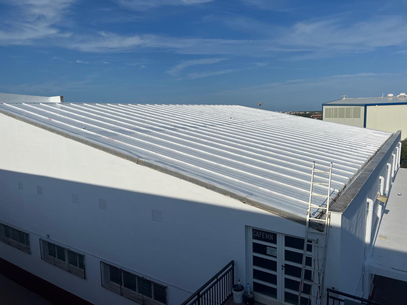 WhatsApp Image 2026-03-20 at 11.27.28