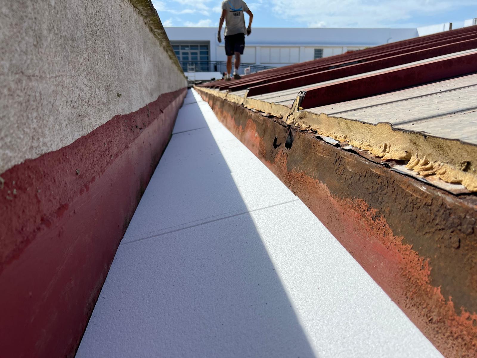 WhatsApp Image 2026-03-20 at 11.28.37