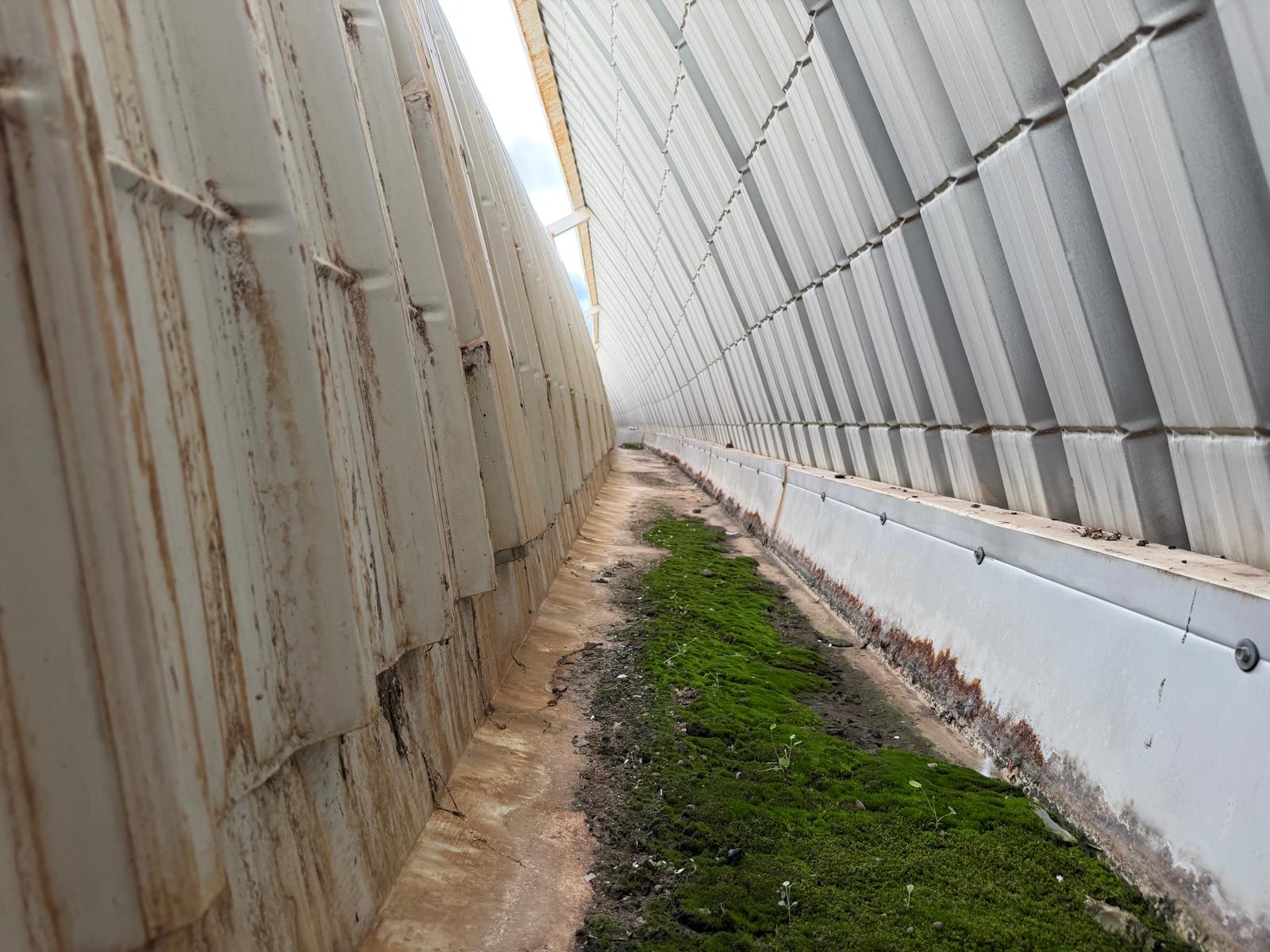 WhatsApp Image 2026-03-31 at 19.18.13 (1)