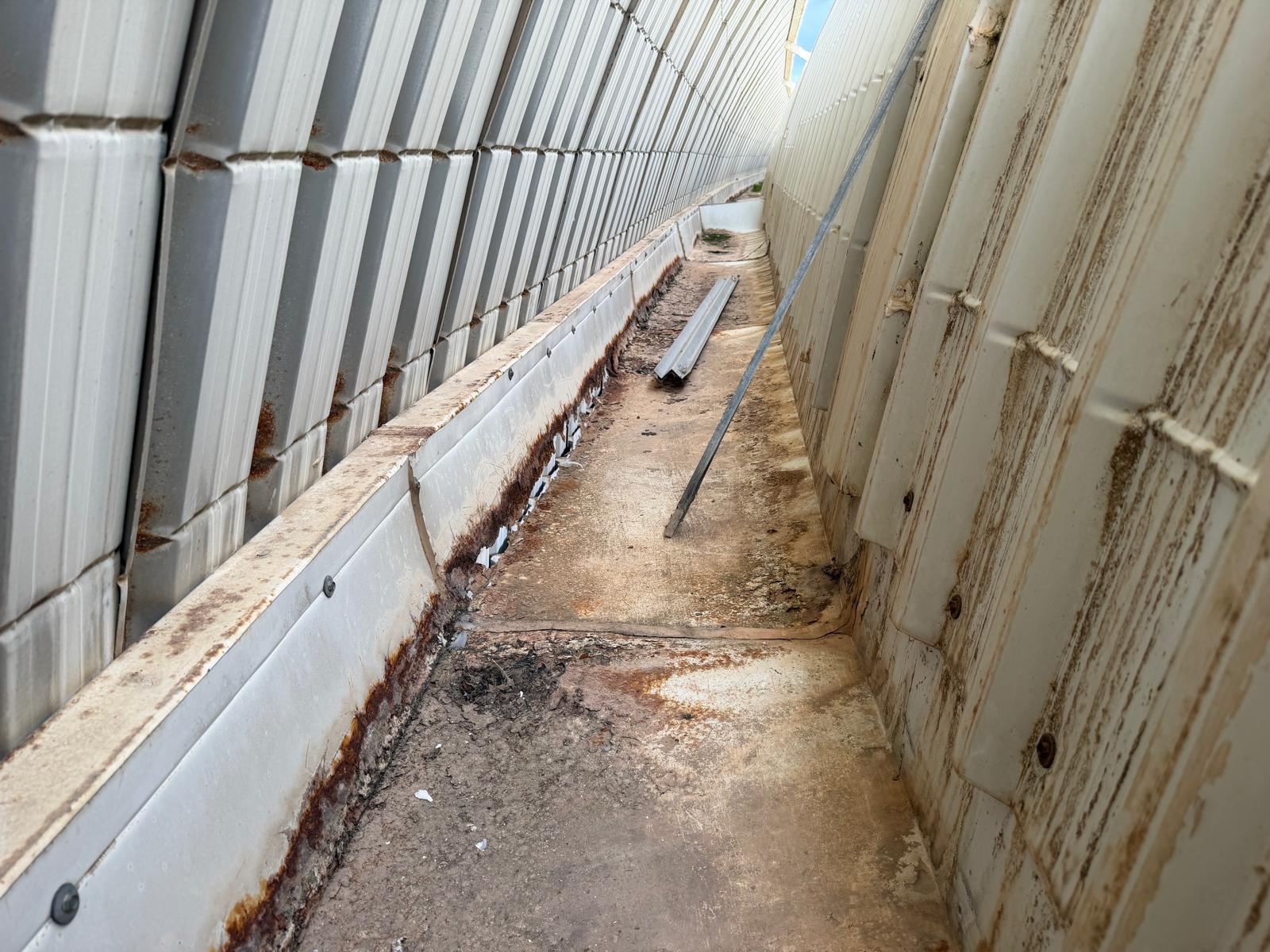 WhatsApp Image 2026-03-31 at 19.18.13